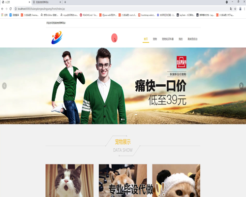 毕设ssm332基于ssm框架的流浪宠物领养系统毕业设计