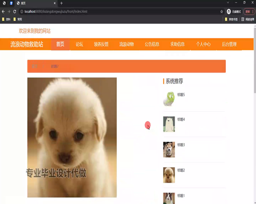 毕设ssm593流浪动物救助站+vue毕业设计