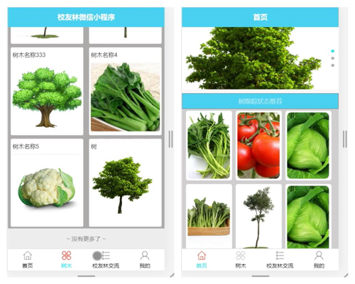 毕设weixin120校友林微信小程序毕业设计
