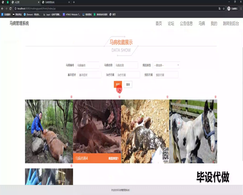毕设ssm536基于web的马病管理系统+jsp毕业设计