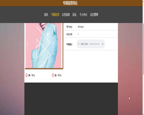 毕设springboot088专辑鉴赏网站的毕业设计